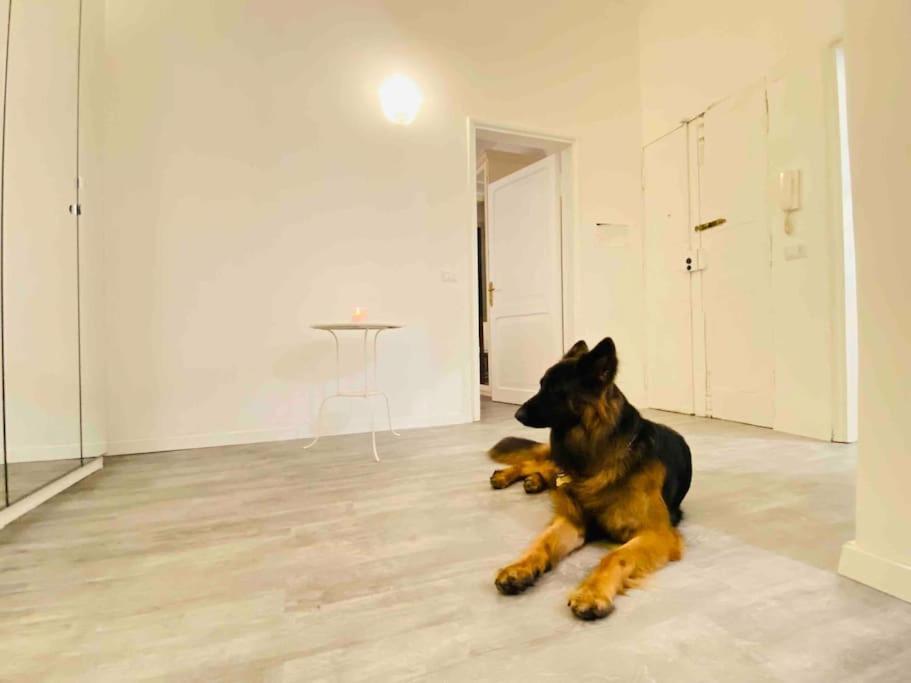 Mamisa Rome, Appartamento Con Parcheggio Privato E Gratuito Exterior foto